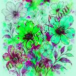 Colour:C