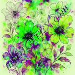 Colour:D