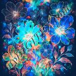 Colour:F