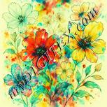 Colour:K