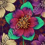 Colour:A