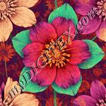 Colour:J