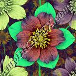 Colour:K