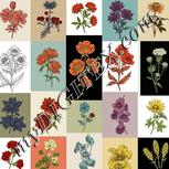 Colour:A