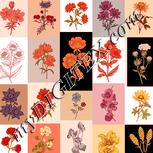 Colour:J