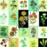 Colour:K