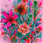 Colour:B