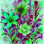 Colour:C
