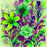 Colour:D