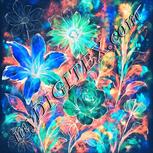 Colour:F