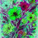 Colour:C
