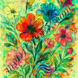 Colour:K