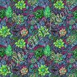 Colour:C