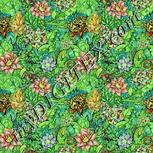Colour:K