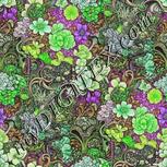 Colour:D