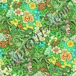 Colour:K