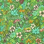 Colour:K