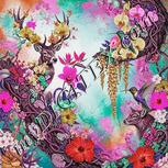 Colour:B