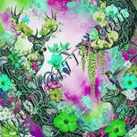 Colour:C