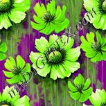 Colour:D