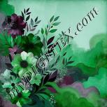 Colour:C