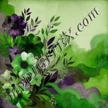 Colour:D