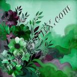 Colour:C