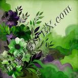 Colour:D