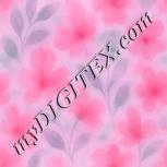 Colour:B