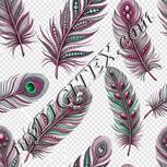 Colour:B