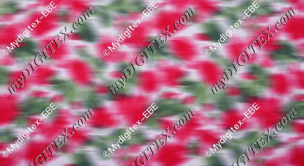 EBE 0004046
