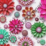 Colour:B