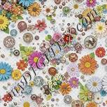 Colour:A