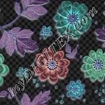 Colour:F