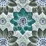 Colour:F