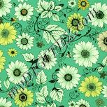 Colour:K