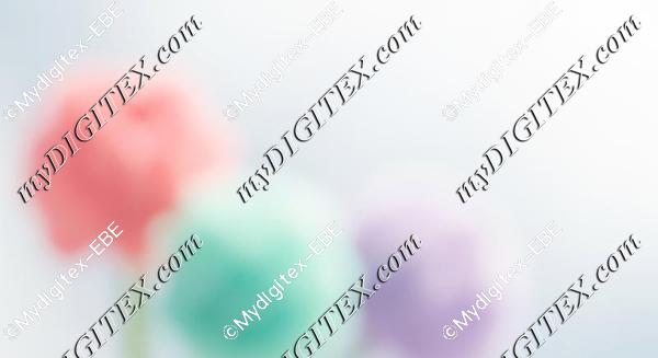 EBE 0004101