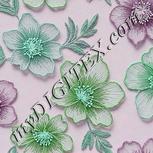 Colour:C