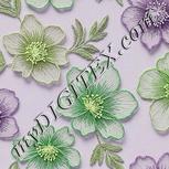 Colour:D