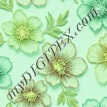 Colour:K