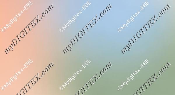 EBE 0004153