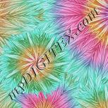 Colour:B