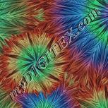 Colour:F