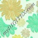 Colour:K
