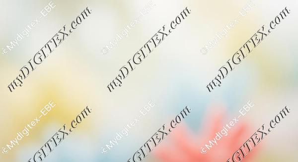 EBE 0004204