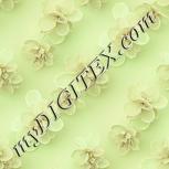 Colour:K