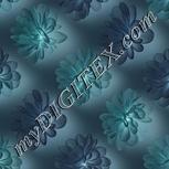 Colour:F