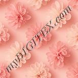 Colour:J