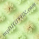Colour:K