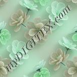 Colour:C